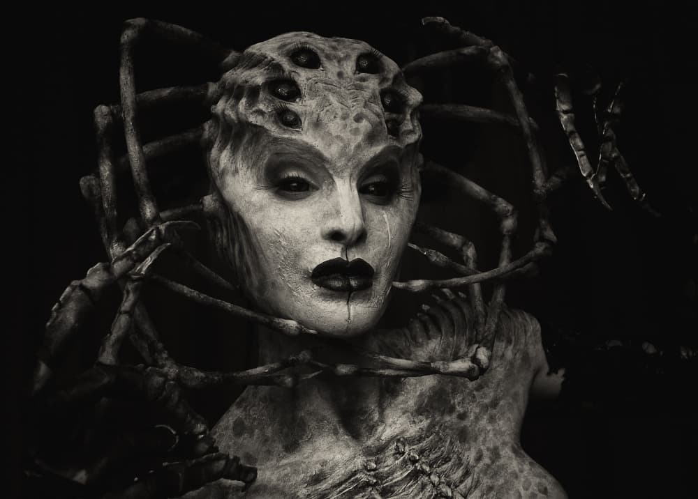 Dark Spider Empress by Kurt Klein — canvas wall art