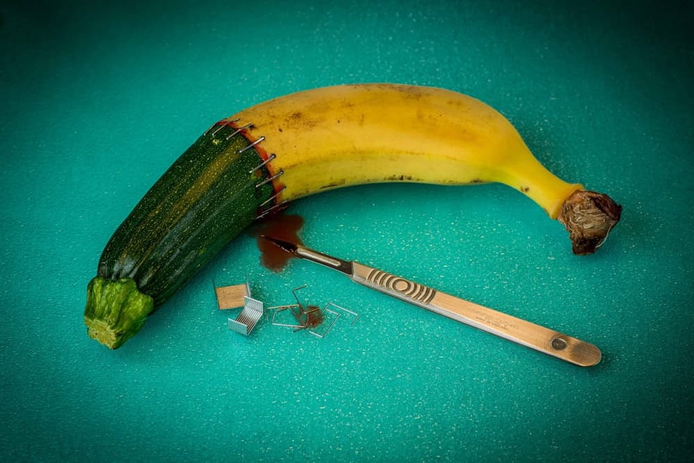 Banana Zucchini Surgery by tom r. grabuschnigg (tomtitan) — canvas wall art