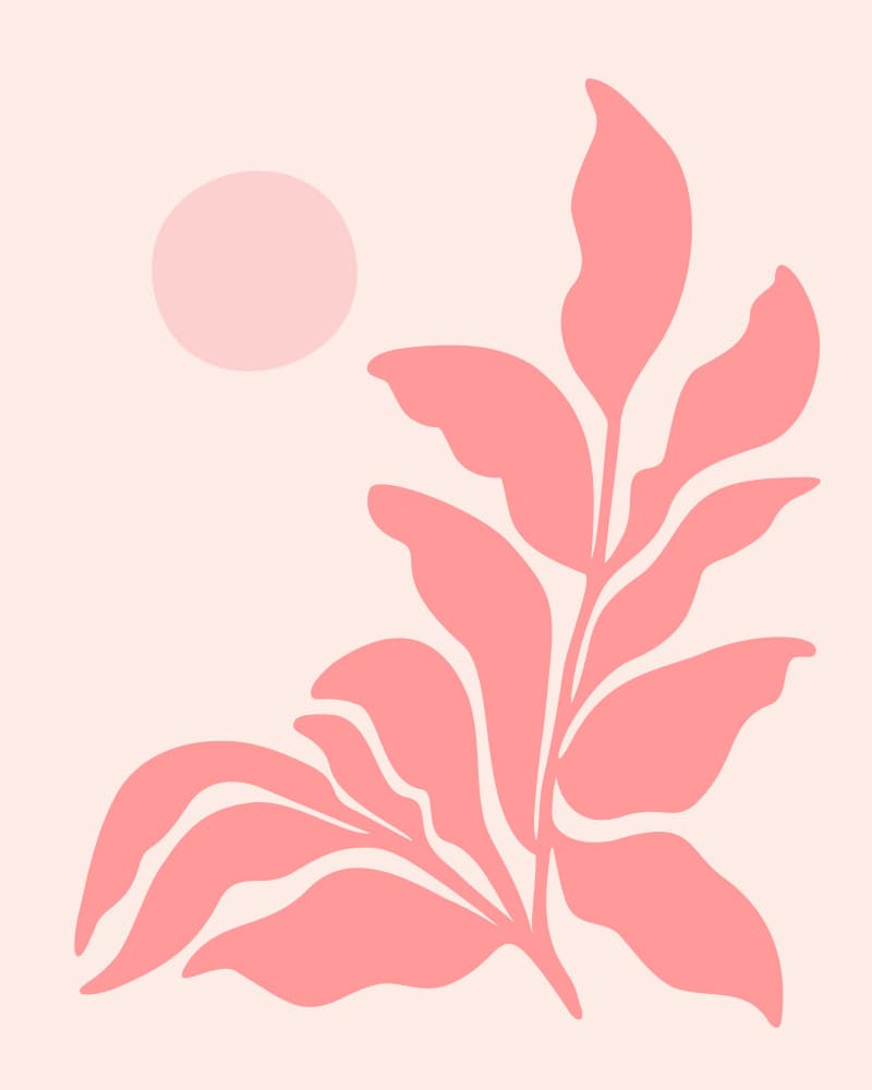 Pink Garden by Kristian Gallagher — canvas wall art