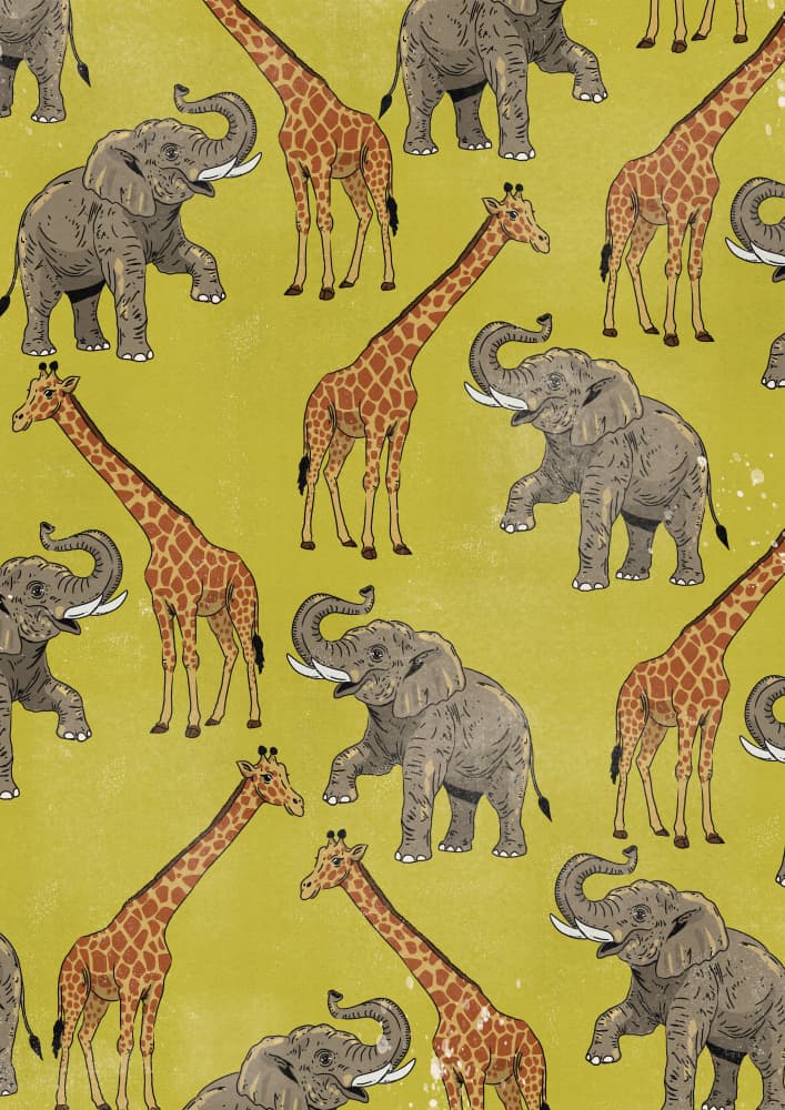 Playful Safari Animals by Nicholas — canvas wall art