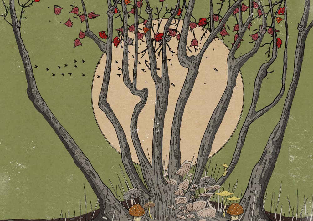 Autumn Trees Wild Mushrooms by Nicholas — canvas wall art