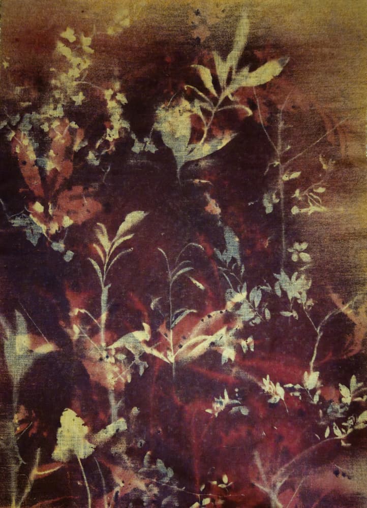 Dark Botanical Silhouettes by Stefano Mazzolini — canvas wall art