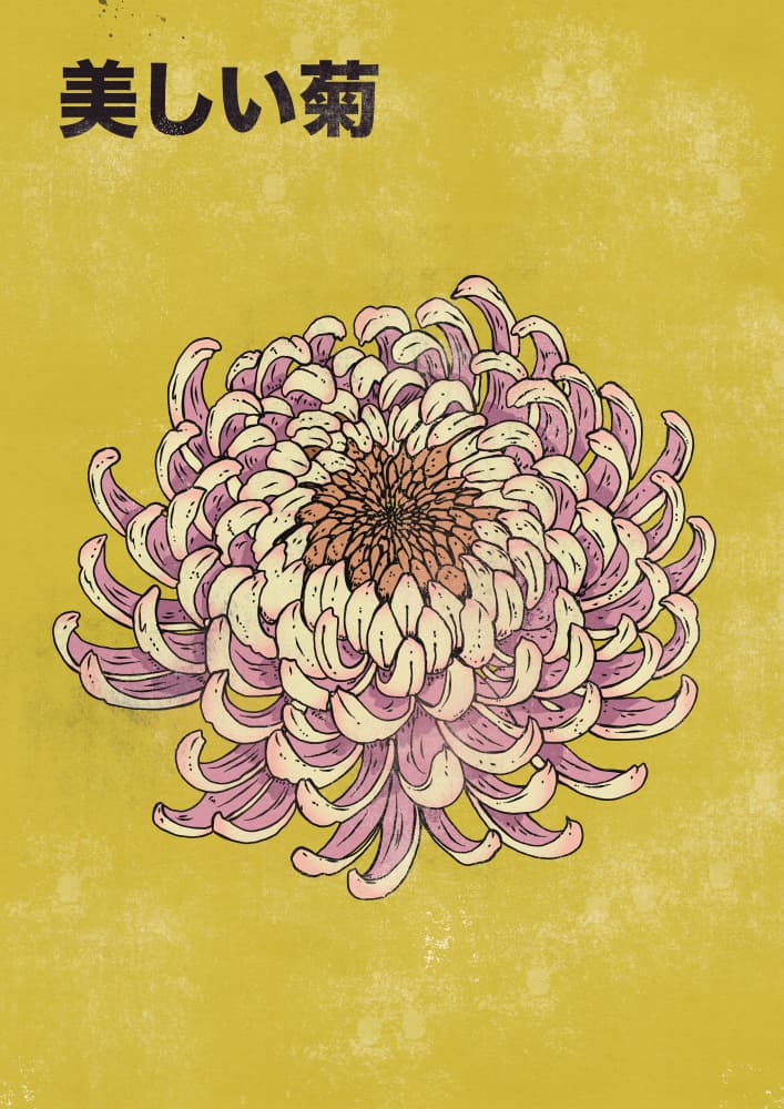 Japanese Chrysanthemum Art by Nicholas — canvas wall art