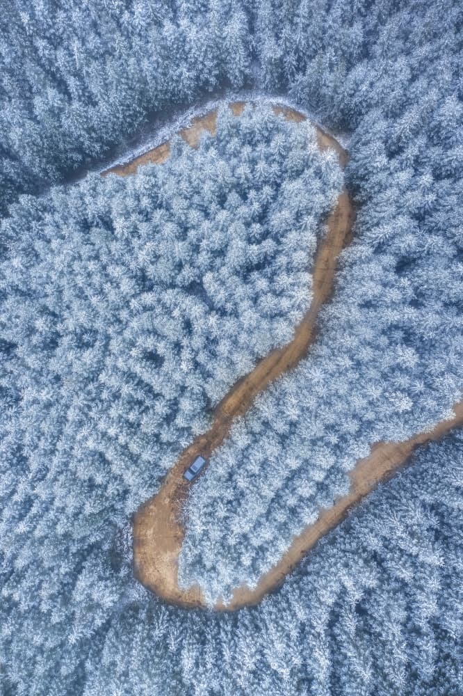 Frozen Forest Journey by TIANQI — canvas wall art