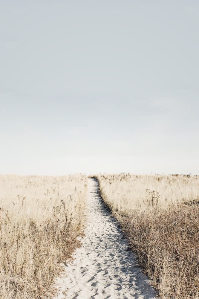 To The Beach by Kathrin Pienaar — canvas wall art