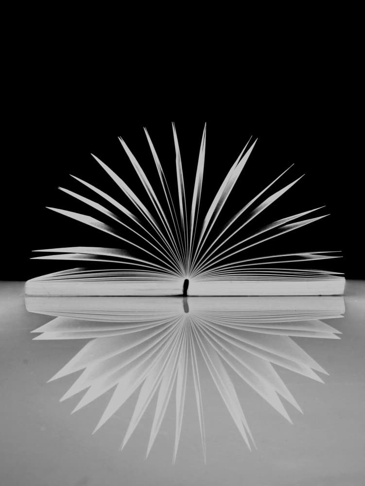 Open Book Reflection by Henk Langerak — canvas wall art