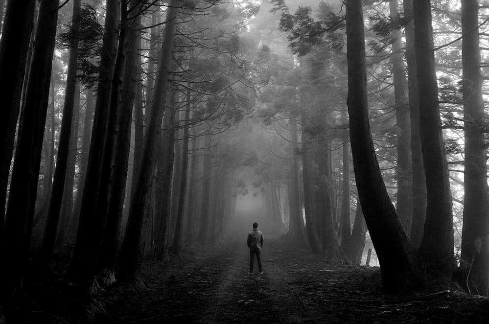 Path Into The Mist by Luís Godinho — canvas wall art