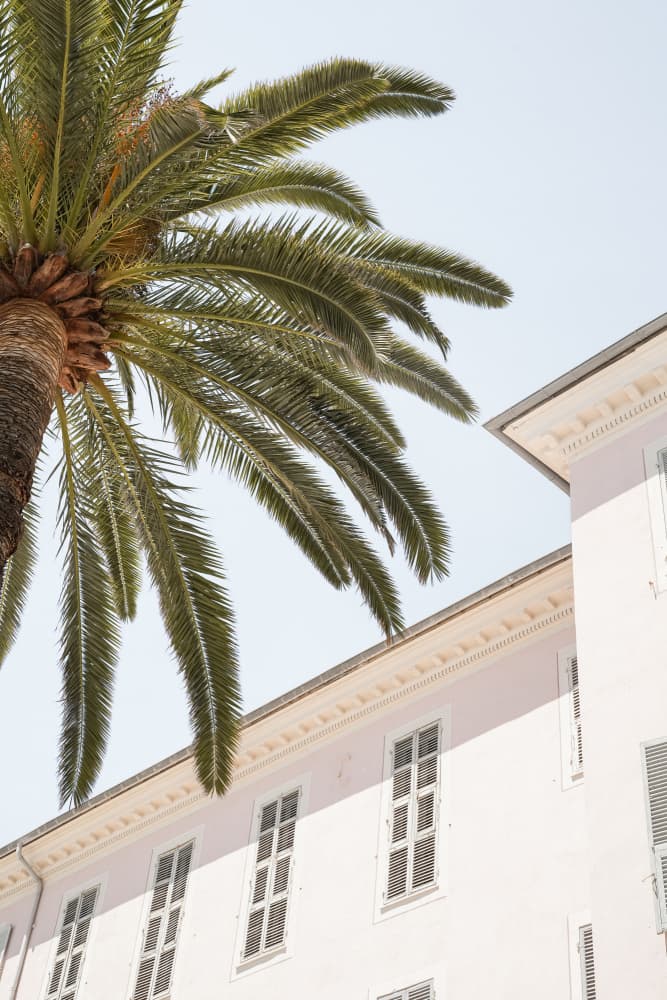 Sunny Palm Tree Building by Henrike Schenk — canvas wall art