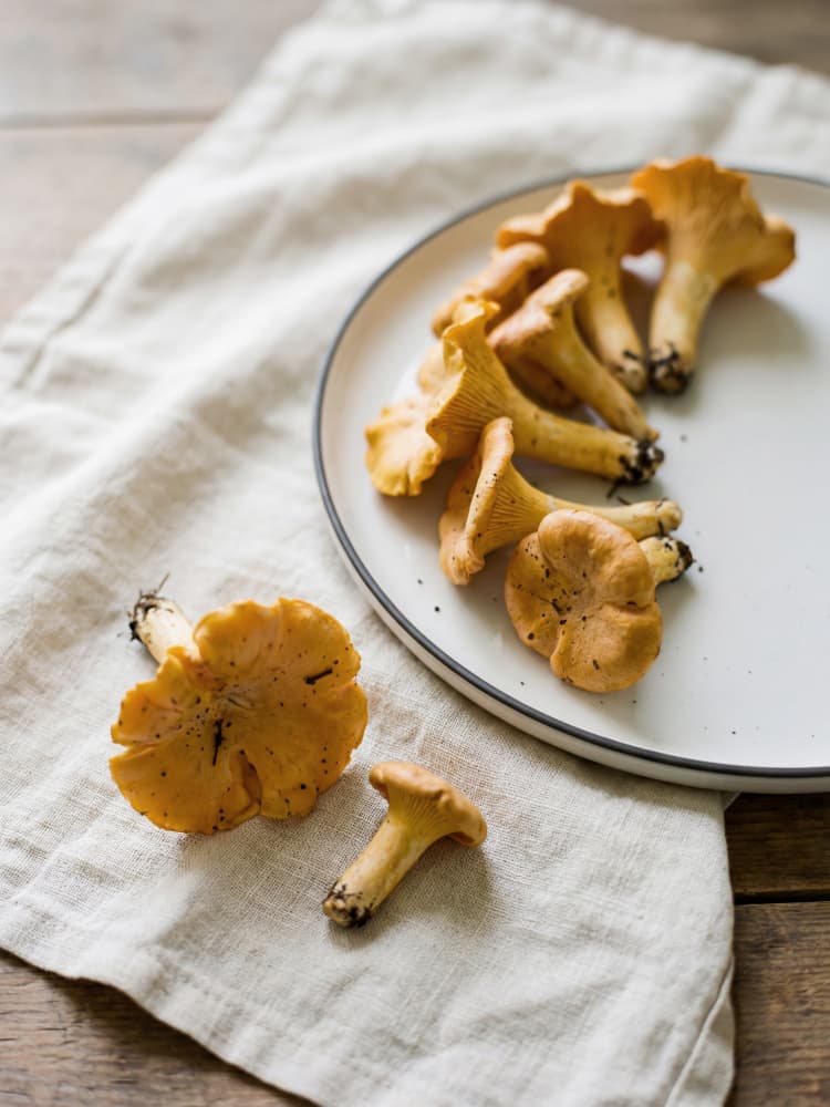 Golden Chanterelle Harvest by Andreas Magnusson — canvas wall art