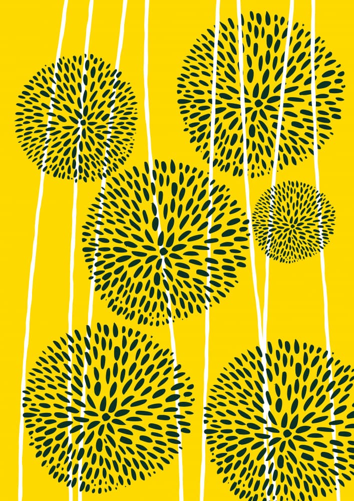 Yellow Dandelion Bursts by Nicholas — canvas wall art