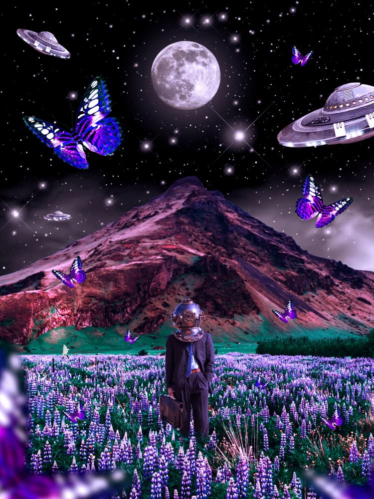 Astronaut Purple Fields by Ritvik takkar — canvas wall art