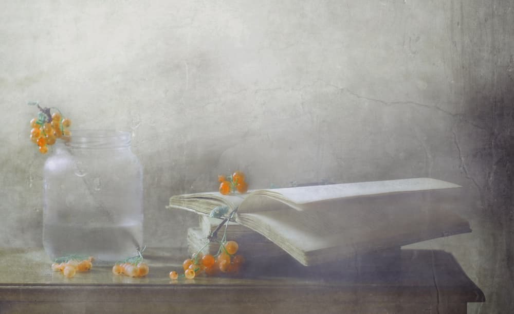 Soft Berry Still Life by Delphine Devos — canvas wall art