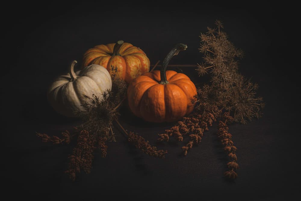 Rustic Autumn Pumpkins by Cicek Kiral — canvas wall art