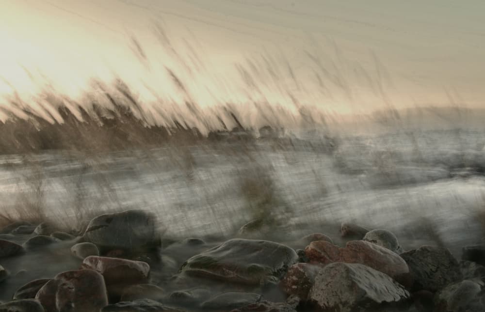 Dreamy Coastal Motion