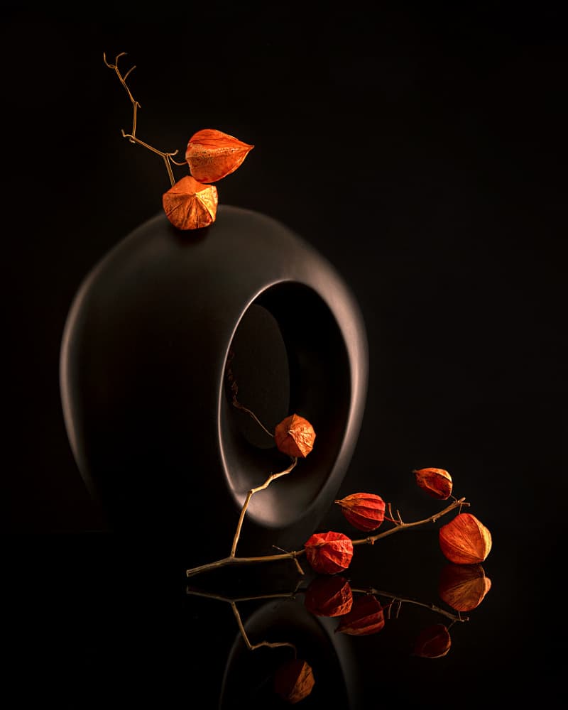 Orange Botanicals Black Vase by Louie Luo — canvas wall art