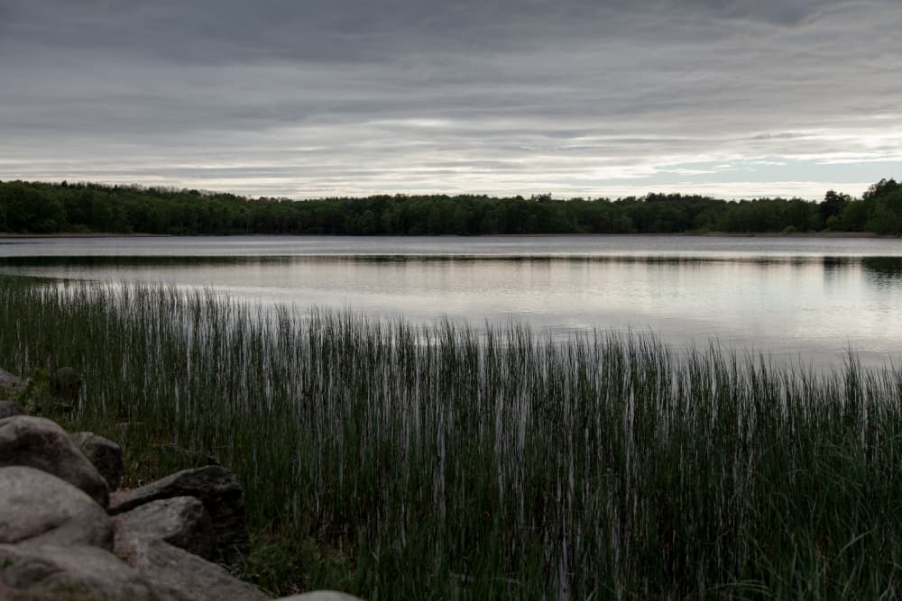 Somewhere In Sweden 1 by Mareike Böhmer — canvas wall art