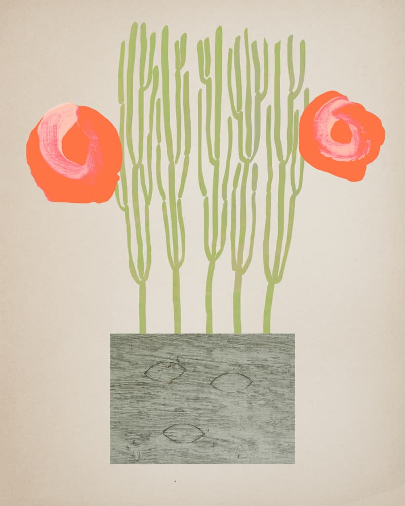 Orange Bloom Green Stems by Diana Jahns — canvas wall art