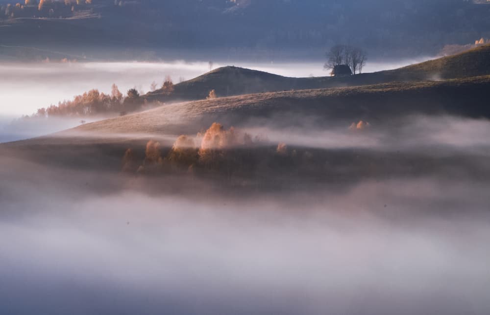 Golden Misty Hills by Flegner Calin — canvas wall art