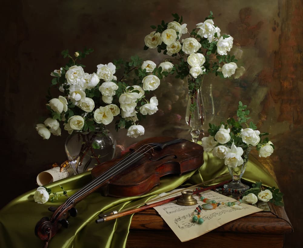 White Roses Violin Music by Andrey Morozov — canvas wall art