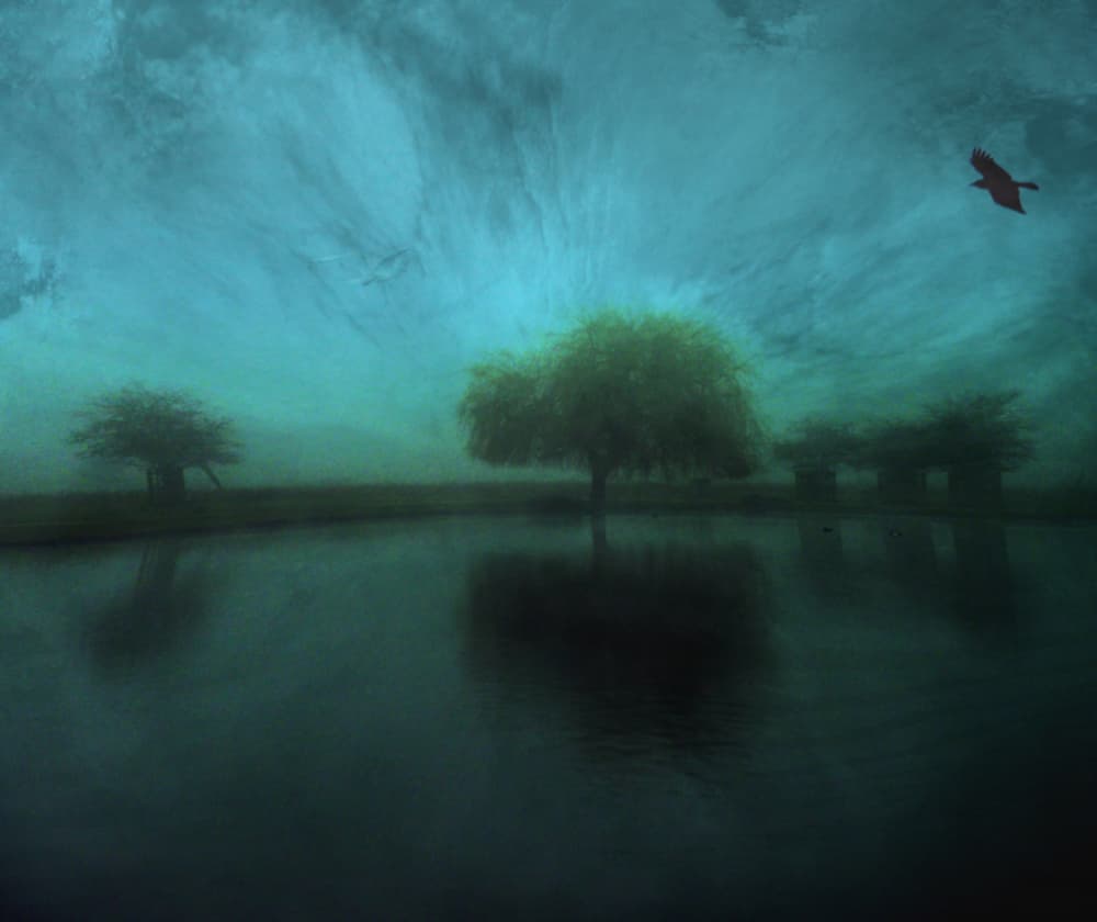 Misty Lakeside Bird by Robert Fabrowski — canvas wall art