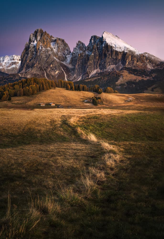 Golden Alpine Valley Path by Li Ying — canvas wall art