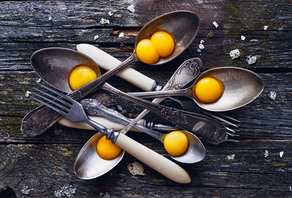 Rustic Egg Yolks by Karina Aleksandrova — canvas wall art