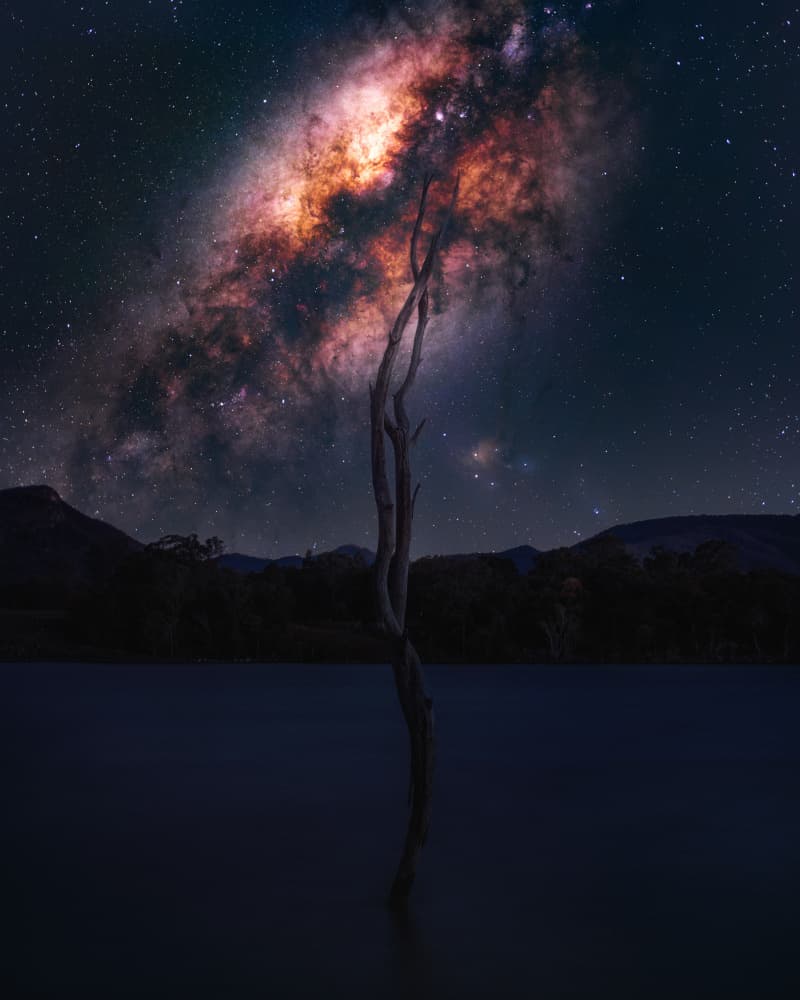 Cosmic Night Tree by TaranSohal — canvas wall art