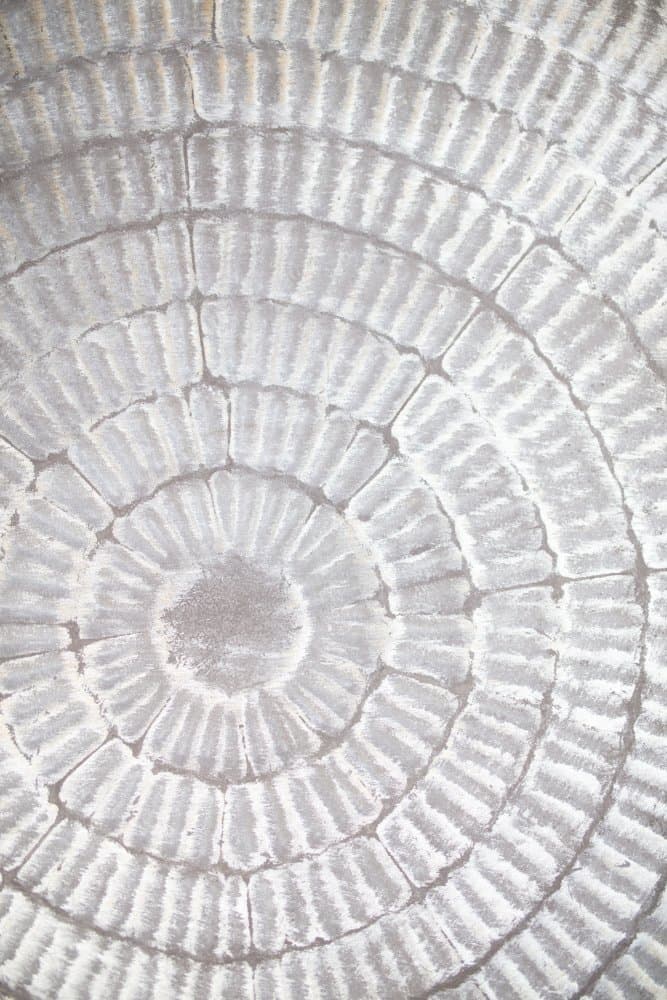 Abstract Concentric Pattern by Pictufy Studio III — canvas wall art