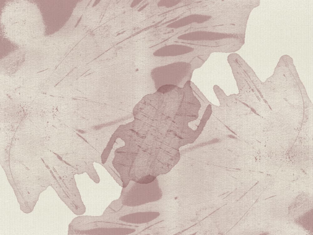 Muted Organic Shapes by Dina Dankers — canvas wall art