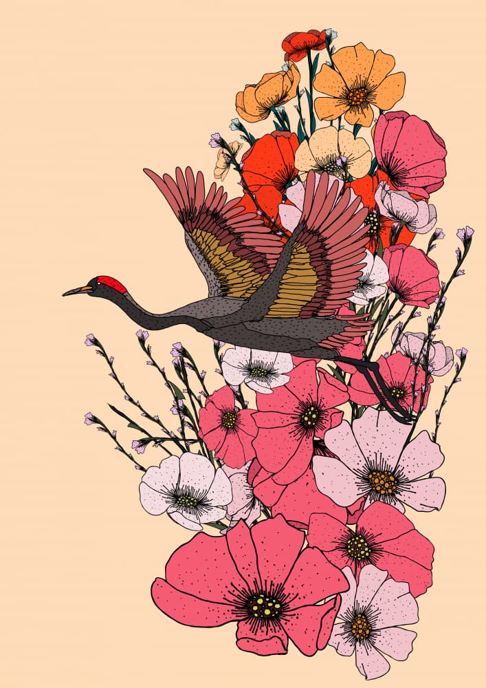 Flying Crane Blooms by Nicholas — canvas wall art
