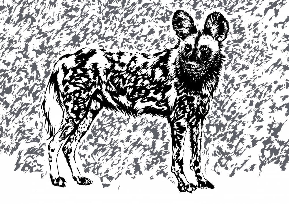 Painted Dog Portrait by Carlo Kaminski — canvas wall art