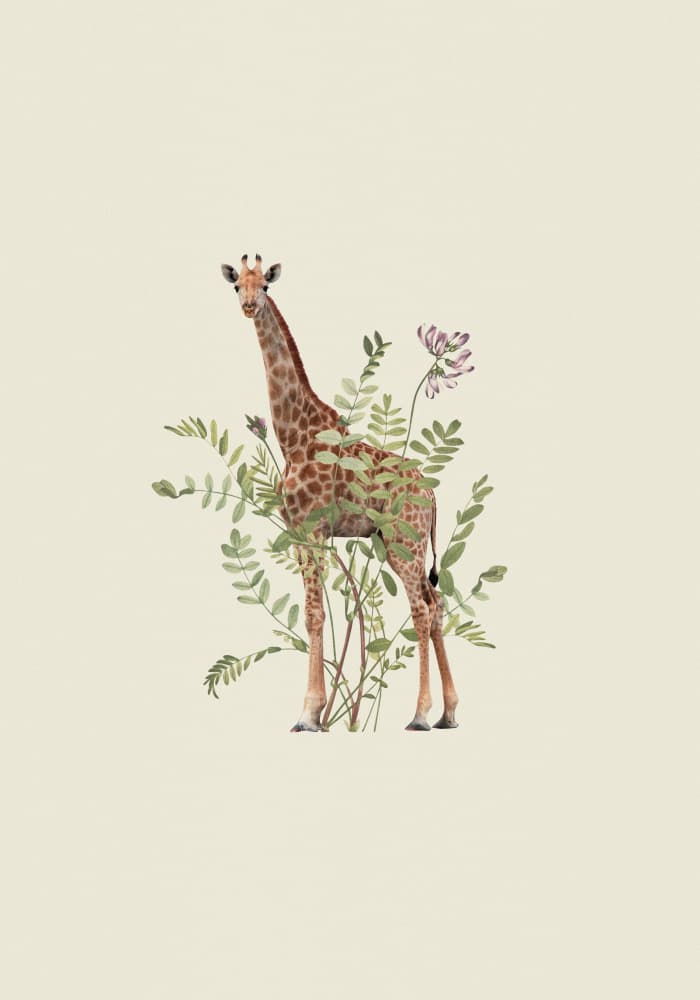 Giraffe Among Botanicals by Frida Floral Studio — canvas wall art