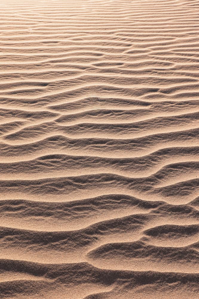 Golden Sand Waves by Henrike Schenk — canvas wall art