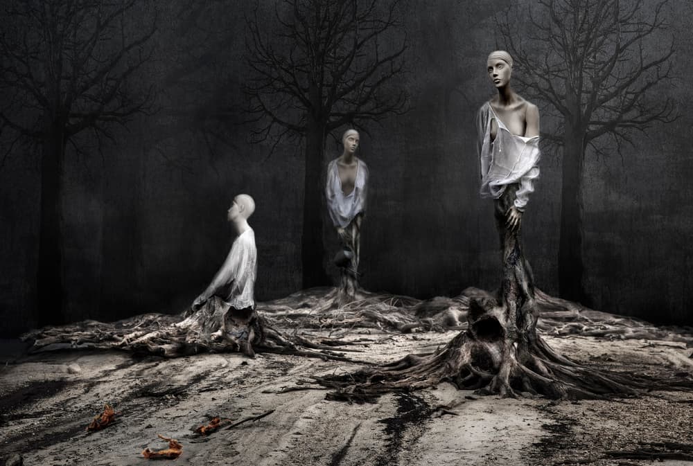Surreal Root Women by Martine Benezech — canvas wall art