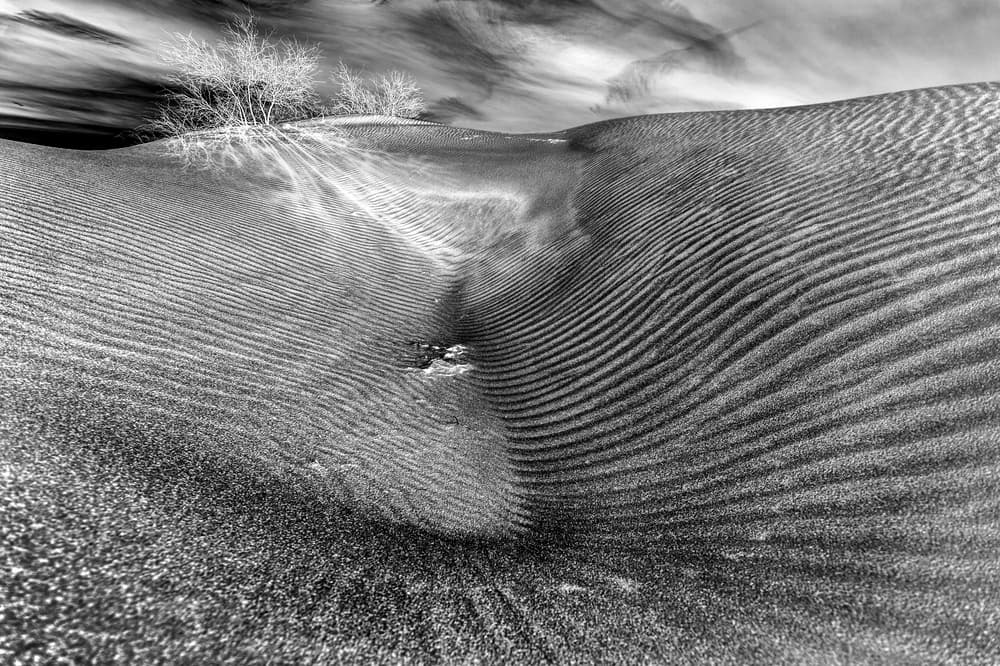 Stark Desert Ripples by Charles Lai — canvas wall art