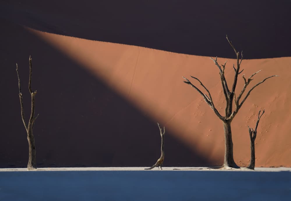 Deadvlei Desert Shadows by Sarawut Intarob — canvas wall art