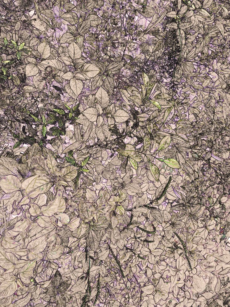 Serene Botanical Sketch by Santhosh ch — canvas wall art