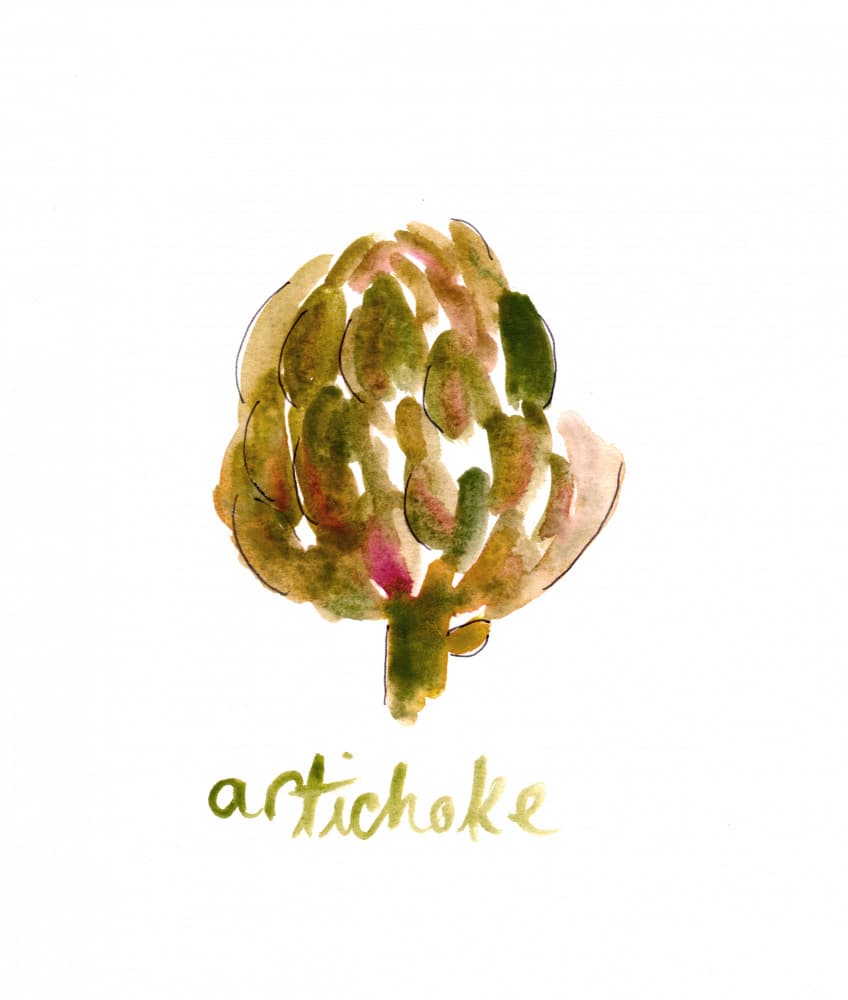 Fresh Artichoke Watercolor by Christine Lindstrom — canvas wall art
