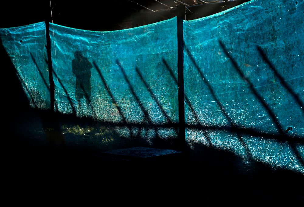 Mysterious Teal Silhouette by Ekkachai Khemkum — canvas wall art