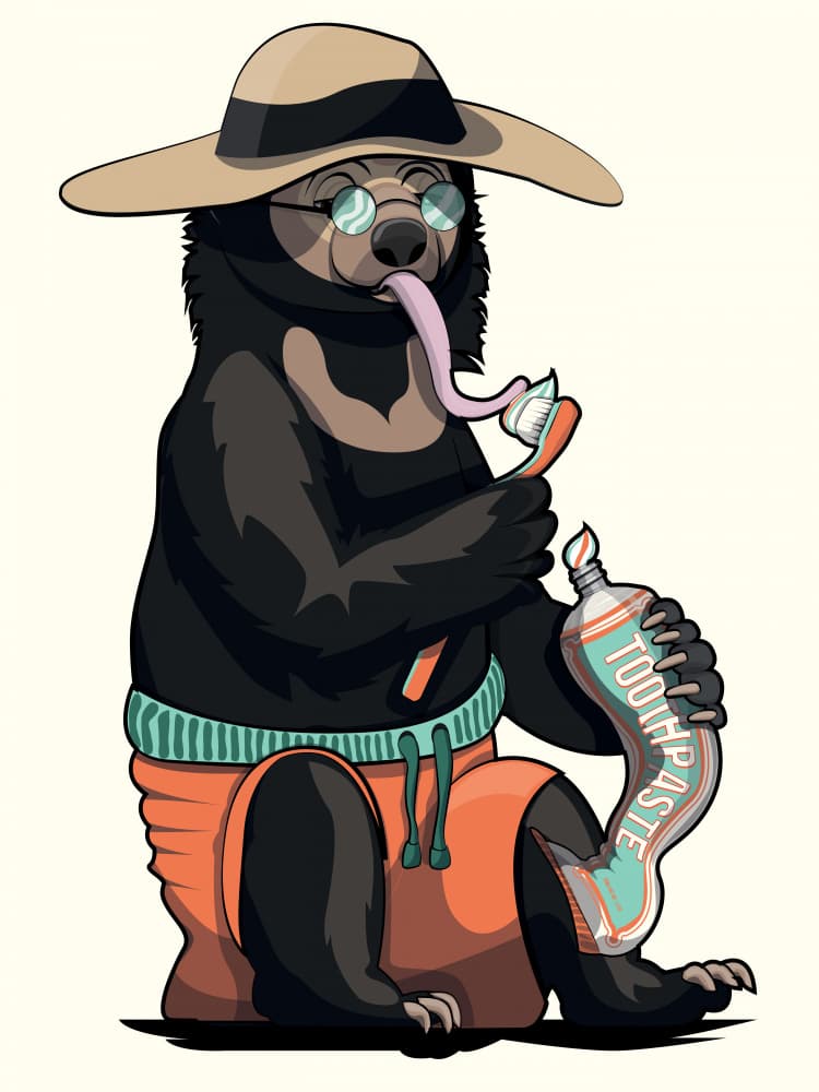 Funny Bear Brushes Up by In The Washroom — canvas wall art