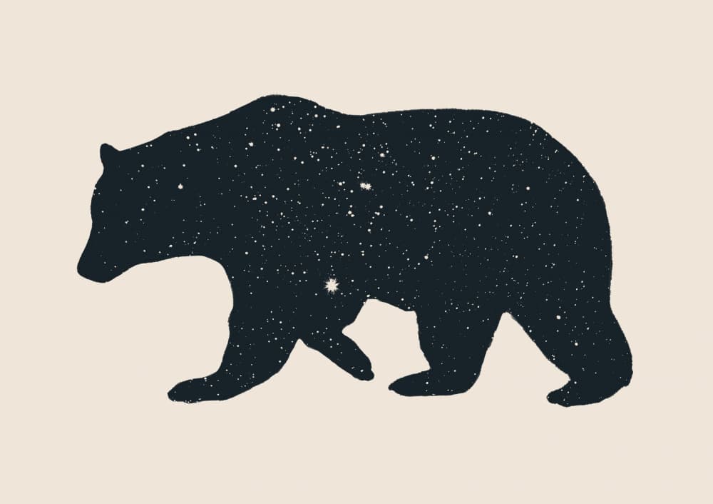Cosmic Bear by Florent Bodart — canvas wall art