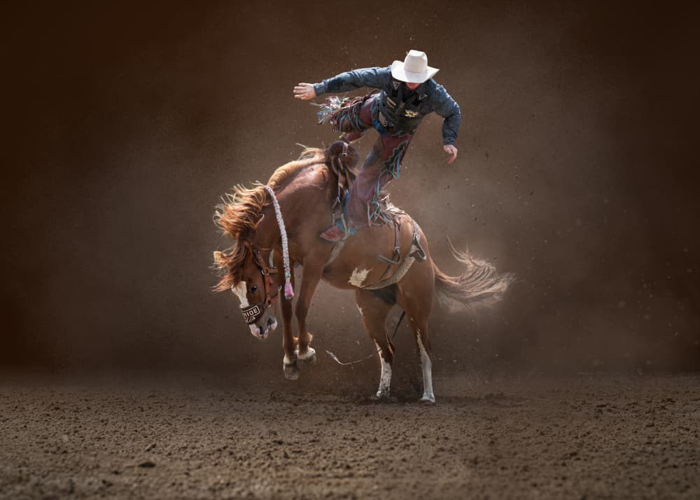 Bucking Rodeo Cowboy by Leeian Dai — canvas wall art