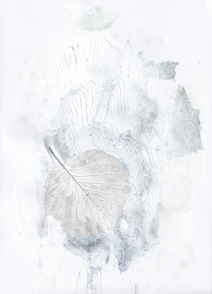 Subtle Botanical Impression