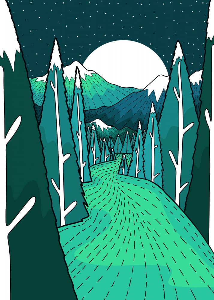 Moonlit Forest Path by Stephen Wade — canvas wall art