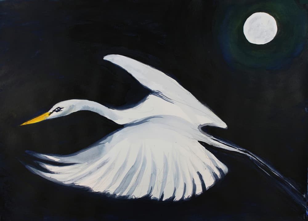 Moonlit White Egret by RodMacIver — canvas wall art