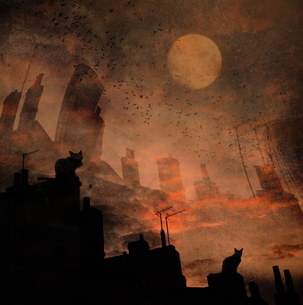 Moonlit Rooftop Cats by Robert Fabrowski — canvas wall art