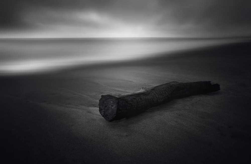 Moody Beach Driftwood by Carlo Tonti — canvas wall art