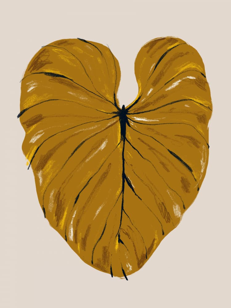 Golden Botanical Leaf by Francesco Gulina — canvas wall art