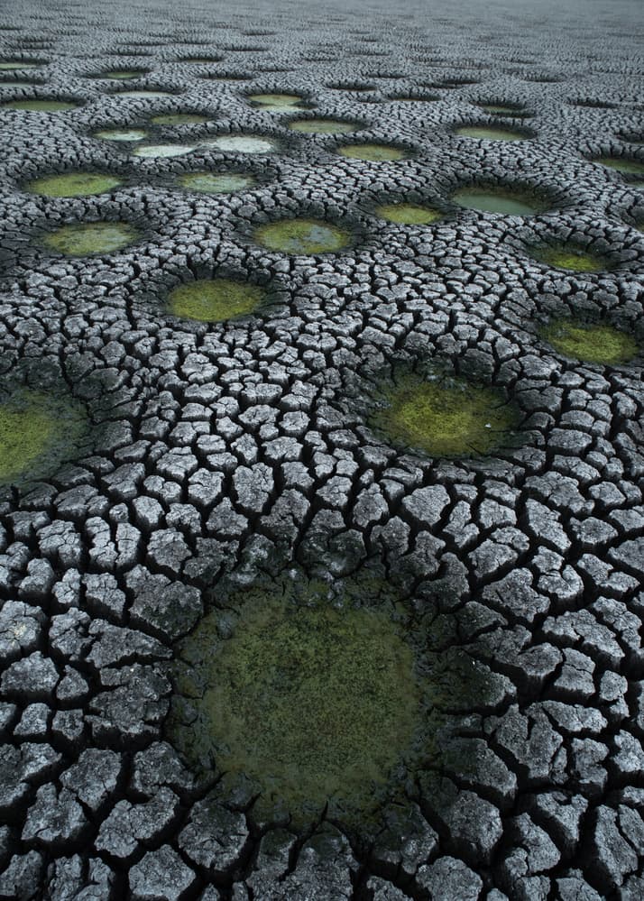 Arid Cracked Earth Puddles by Tomasz Solinski — canvas wall art