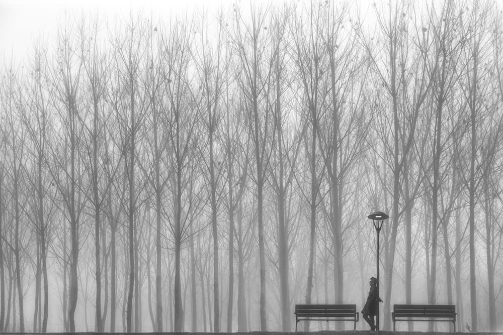 Misty Park Solitude by Francesco Deste — canvas wall art